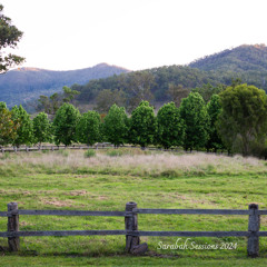 Piece Of Me (Demo) - Allegra Dunning