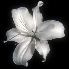 ILLIT - Do the dance [ speed up ]