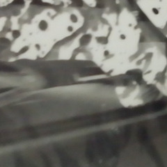 Song For You (Leon Russell)