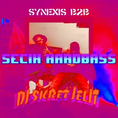 DJ SKRĘT JELIT B2B SYNEXIS SECIK HARDBASS