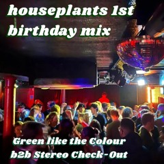 houseplants 1st birthday mix