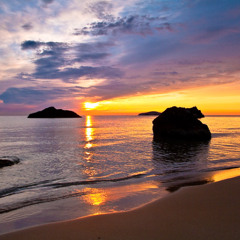 NoR-B - House State of Mind