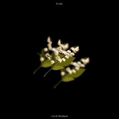 if only. (w/ shudipon)