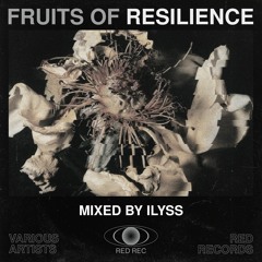 V.A Fruits Of Resilience: Mixed By ILYSS