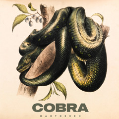 Cobra (Extended Mix)