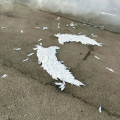 so mean (prod bleed)