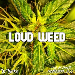 Loud Weed | Tay Tantra