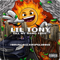 Till My Dawg Free - Lil Tony (archive)