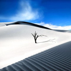 Calico Podcast - Pt. 2 - Winter '20