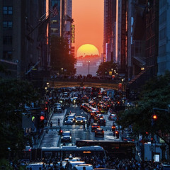 Sunset Boulevard - Sept. 2024