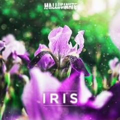 Hallucinate - Iris