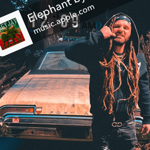 ELEPHANT - ZIGGYJAY