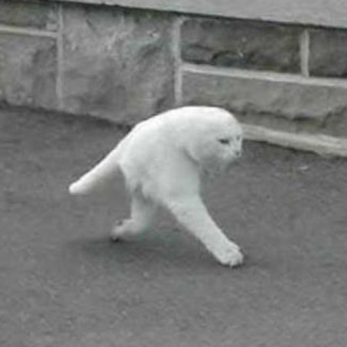 hyperbolic beatchamber jam