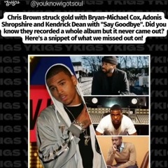 Chris Brown - Catch 22 (Snippet)