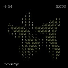 E005–Gentian
