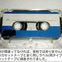 "Fly Away / Japanese Like The Wind"