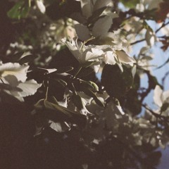 2022 03 05 Kenny Beats Battle