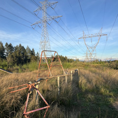 Молодой Владимир - Верят (lilvicbxi reupload)