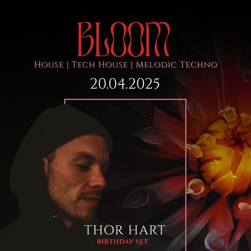 Thor Hart @ Electronic Liebe - Mitte Soundbar ( Geburtstagsset )