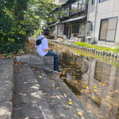 Z - NO RISK NO REWARDS