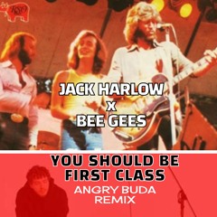 Jack Harlow x Bee Gees - You Should Be First Class (Angry Buda Remix)