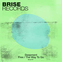 PREMIERE : Deepment - Free (Original Mix) [Brise Records]