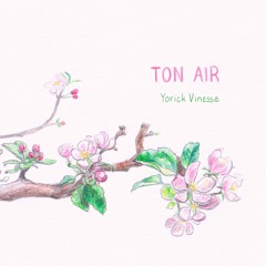 Ton air