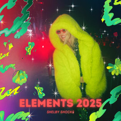 Shelby Shocks Live @ Elements Music Festival 2025