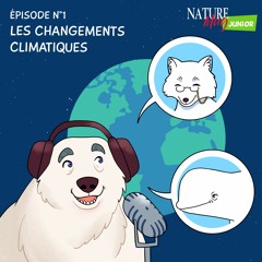#1 — Les changements climatiques