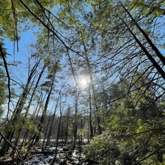 i love the smell of rain(feat. distant lights)