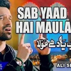 Sab Yaad Hai Maula - Ali Shanawar