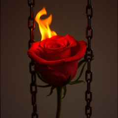 Sacrifice