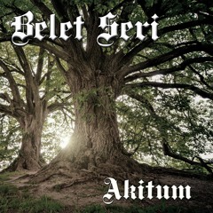 Akitum