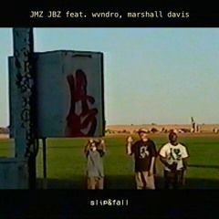 JMZ JBZ , WVNDRO, and Marshall Davis - Slip and Fall