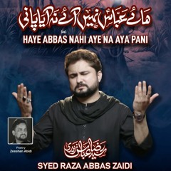 Haye Abbas (a.s) Nahi Aye Na Aya Pani  --  Syed Raza Abbas Zaidi  --  2020