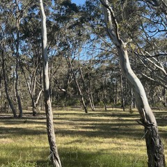 Experimental Dub Mix