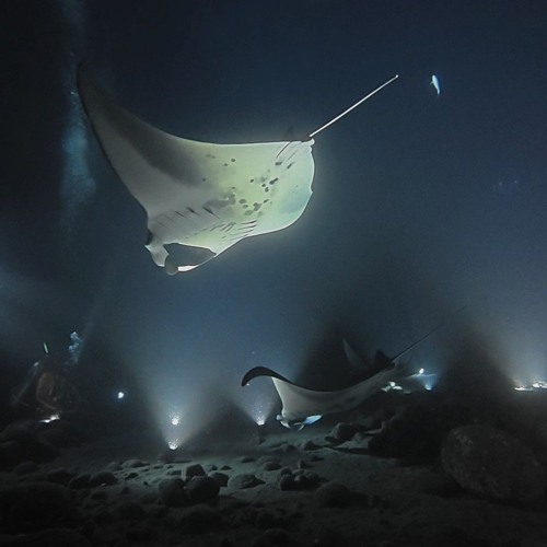 subtronics x illenium- got away  (ReTrixed)