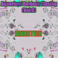 Summer Closing Aquarium Raves vol.9 - Zinnstein