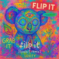 Levity flip it (Koala-T remix)