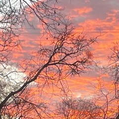 Chanel No.5 by Camila Cabello (stecker Remix)