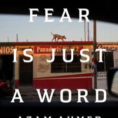 Read Audiobook Fear Is Just a Word: A Missing Daughter, a Violent Cartel, and a Mother's Quest for