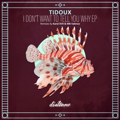 Tidoux - I Don´t Want to Tell You Why
