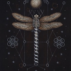TRIBI-Nov-22