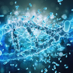 Improve Dental Health Like Never Before with Lumina Probiotics