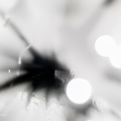 Felisha Ledesma 061225