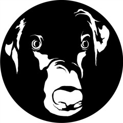 Shining Lights (feat. Wayne Darrin) (Original Version)