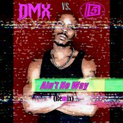 DMX vs. ID-5 - Ain't No Way (Remix)
