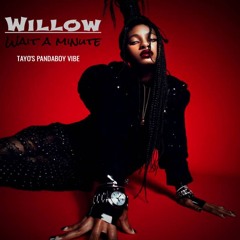 Willow Smith - Wait A Minute (Tayo's Pandaboy Vibe)