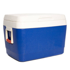 39 Litre Esky [INDICA]