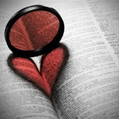 l'amour pour bouclier